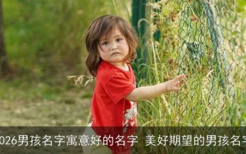 2026男孩名字寓意好的名字 美好期望的男孩名字