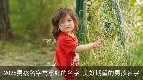 2026男孩名字寓意好的名字 美好期望的男孩名字