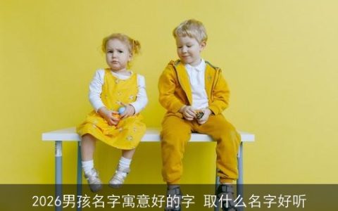 2026男孩名字寓意好的字 取什么名字好听