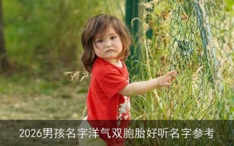 2026男孩名字洋气双胞胎好听名字参考