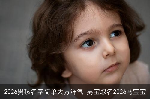 2026男孩名字简单大方洋气 男宝取名2026马宝宝