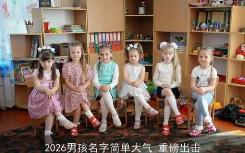 2026男孩名字简单大气 重磅出击