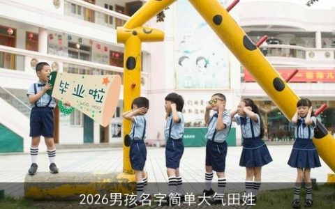 2026男孩名字简单大气田姓