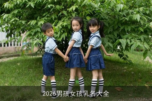 2026男孩女孩乳名大全