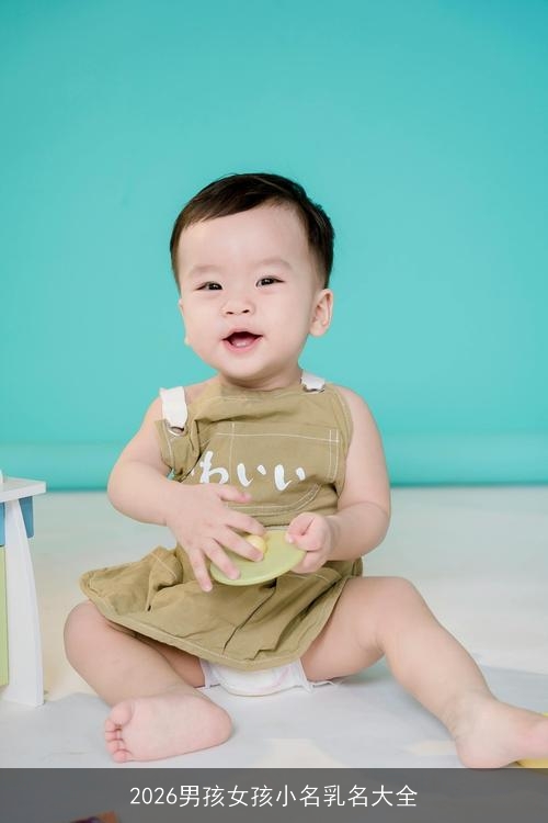 2026男孩女孩小名乳名大全