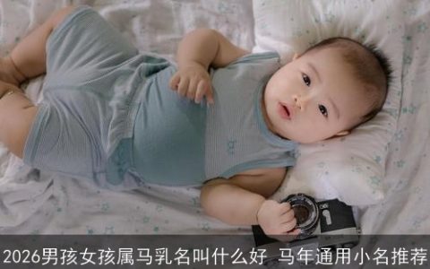 2026男孩女孩属马乳名叫什么好 马年通用小名推荐
