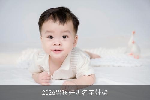 2026男孩好听名字姓梁