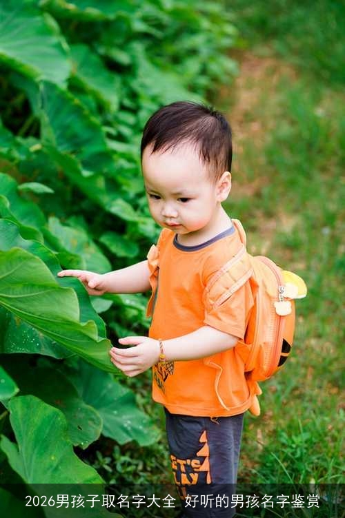 2026男孩子取名字大全 好听的男孩名字鉴赏