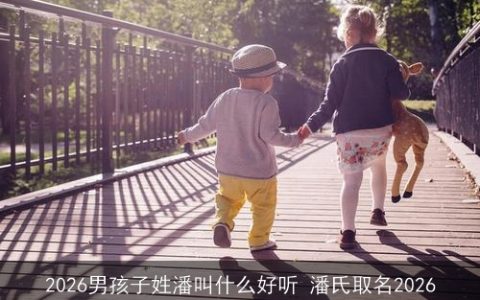 2026男孩子姓潘叫什么好听 潘氏取名2026