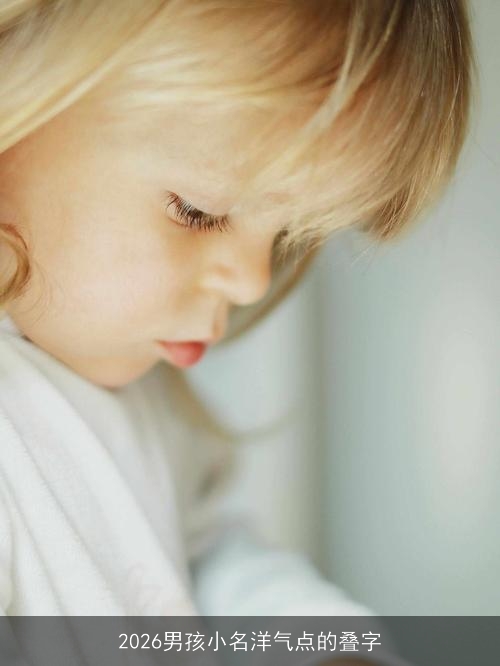2026男孩小名洋气点的叠字
