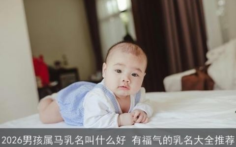 2026男孩属马乳名叫什么好 有福气的乳名大全推荐