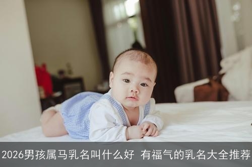 2026男孩属马乳名叫什么好 有福气的乳名大全推荐