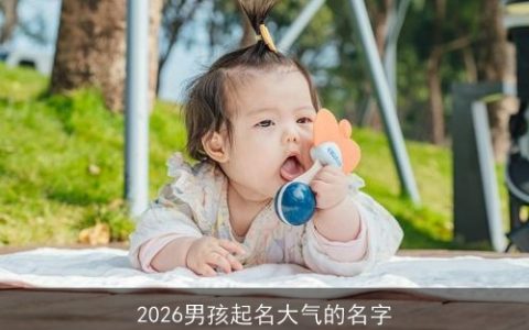 2026男孩起名大气的名字