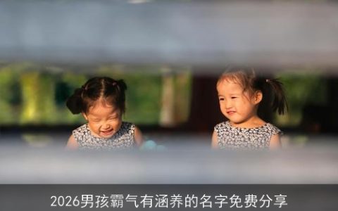 2026男孩霸气有涵养的名字免费分享