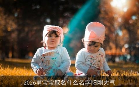 2026男宝宝取名什么名字阳刚大气