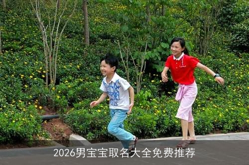 2026男宝宝取名大全免费推荐