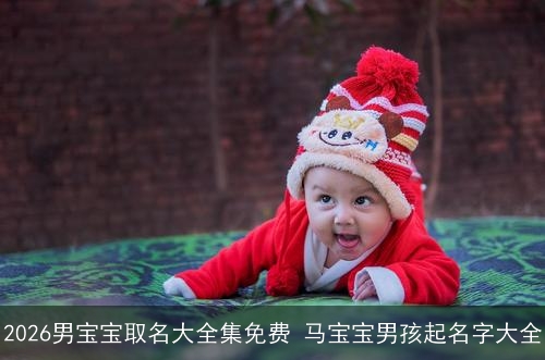2026男宝宝取名大全集免费 马宝宝男孩起名字大全