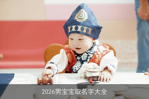 2026男宝宝取名字大全