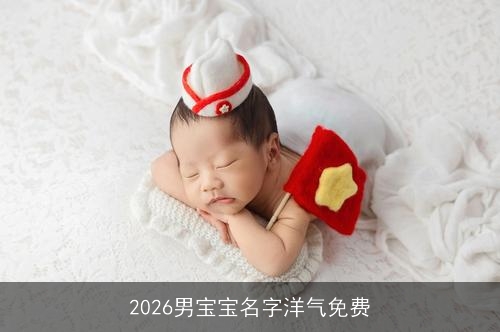 2026男宝宝名字洋气免费