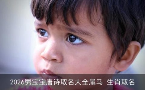 2026男宝宝唐诗取名大全属马 生肖取名