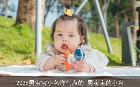 2026男宝宝小名洋气点的 男宝宝的小名