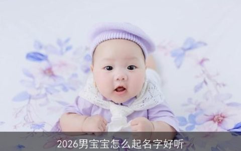 2026男宝宝怎么起名字好听