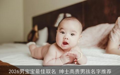 2026男宝宝最佳取名 绅士高贵男孩名字推荐