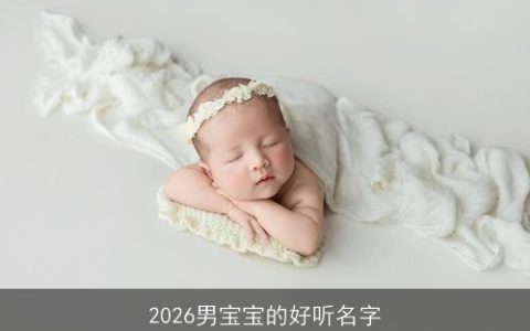 2026男宝宝的好听名字