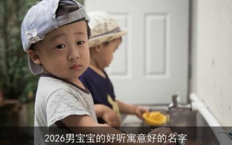 2026男宝宝的好听寓意好的名字
