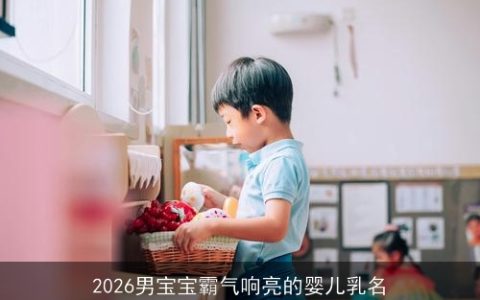 2026男宝宝霸气响亮的婴儿乳名