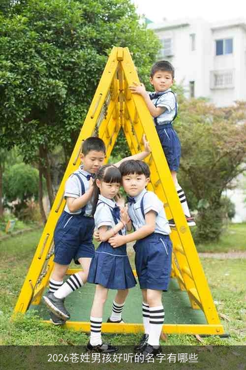2026苍姓男孩好听的名字有哪些
