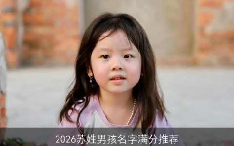 2026苏姓男孩名字满分推荐