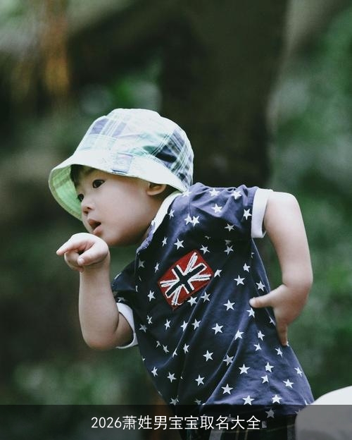 2026萧姓男宝宝取名大全