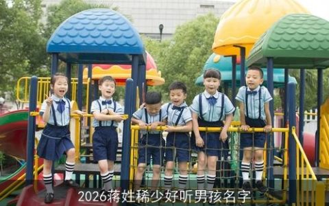 2026蒋姓稀少好听男孩名字