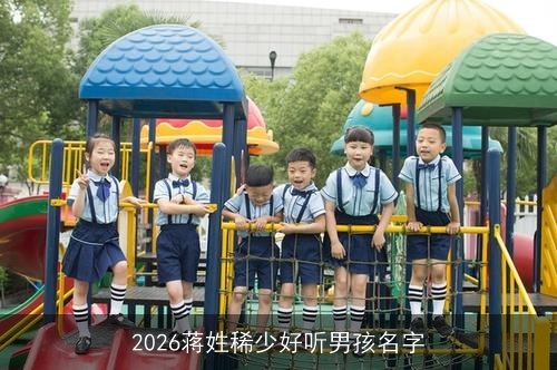 2026蒋姓稀少好听男孩名字