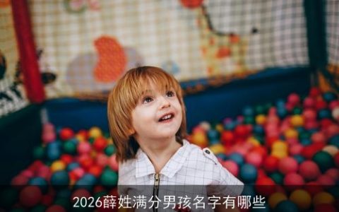 2026薛姓满分男孩名字有哪些