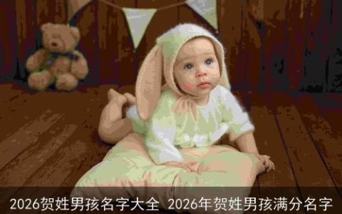 2026贺姓男孩名字大全 2026年贺姓男孩满分名字