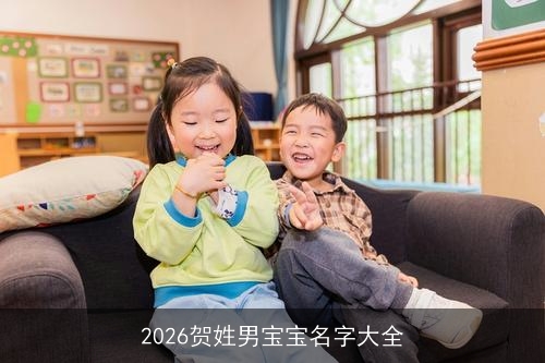 2026贺姓男宝宝名字大全