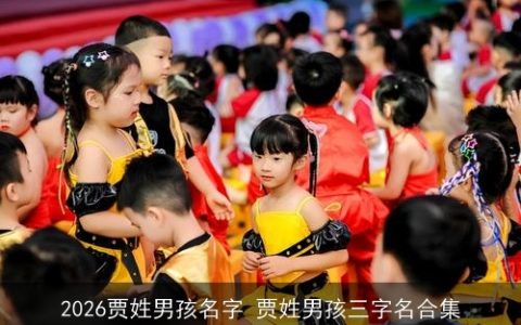 2026贾姓男孩名字 贾姓男孩三字名合集