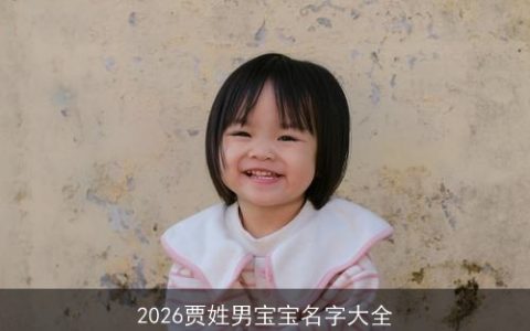 2026贾姓男宝宝名字大全