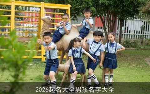 2026起名大全男孩名字大全