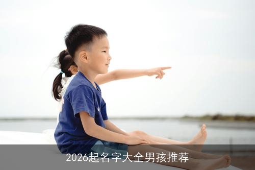 2026起名字大全男孩推荐