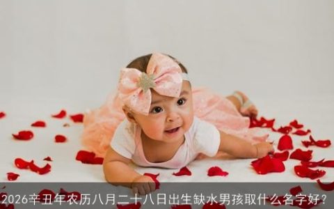 2026辛丑年农历八月二十八日出生缺水男孩取什么名字好？