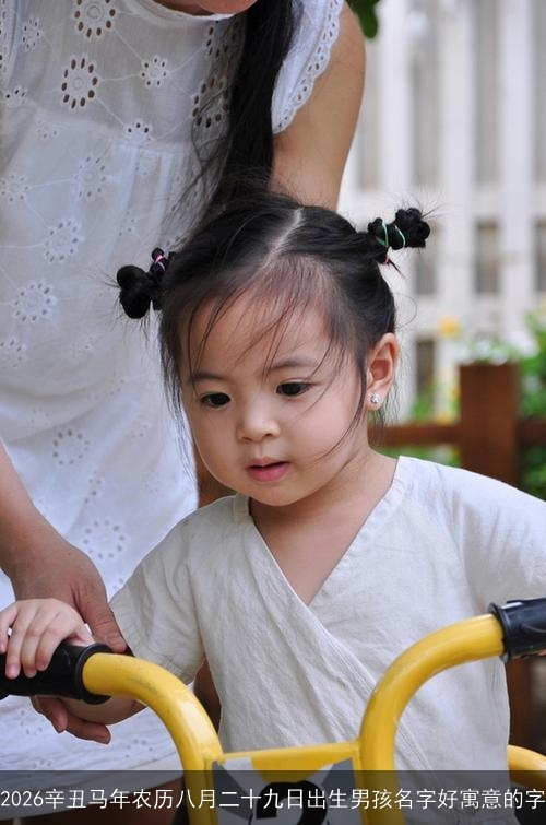 2026辛丑马年农历八月二十九日出生男孩名字好寓意的字
