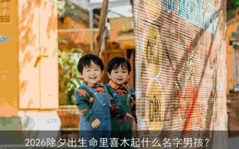 2026除夕出生命里喜木起什么名字男孩？