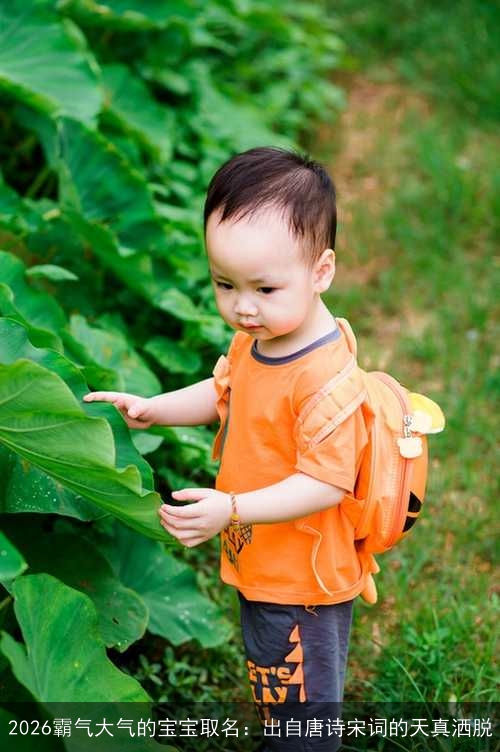 2026霸气大气的宝宝取名：出自唐诗宋词的天真洒脱