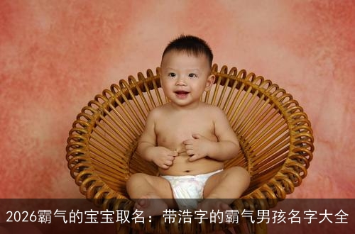 2026霸气的宝宝取名：带浩字的霸气男孩名字大全