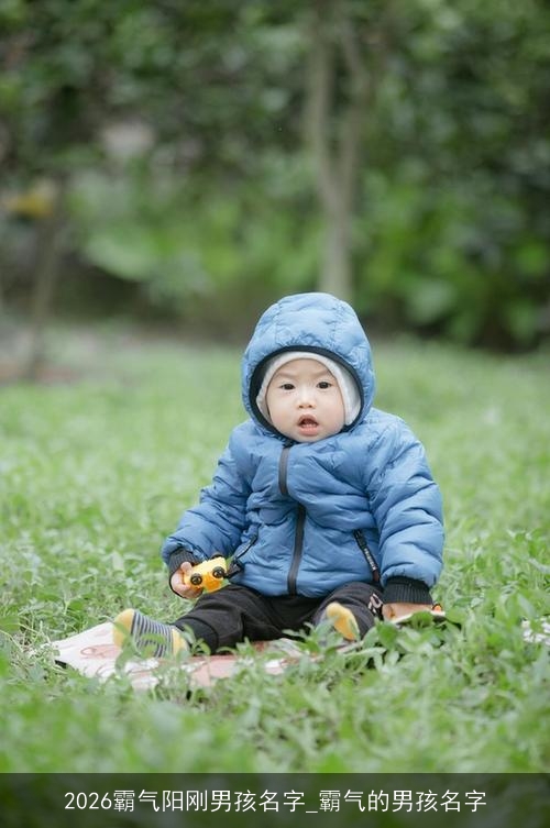 2026霸气阳刚男孩名字_霸气的男孩名字