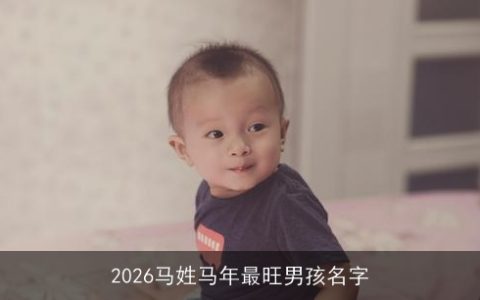 2026马姓马年最旺男孩名字