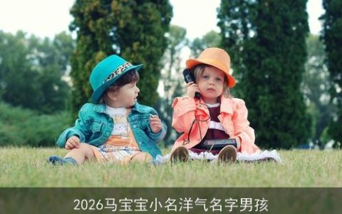 2026马宝宝小名洋气名字男孩